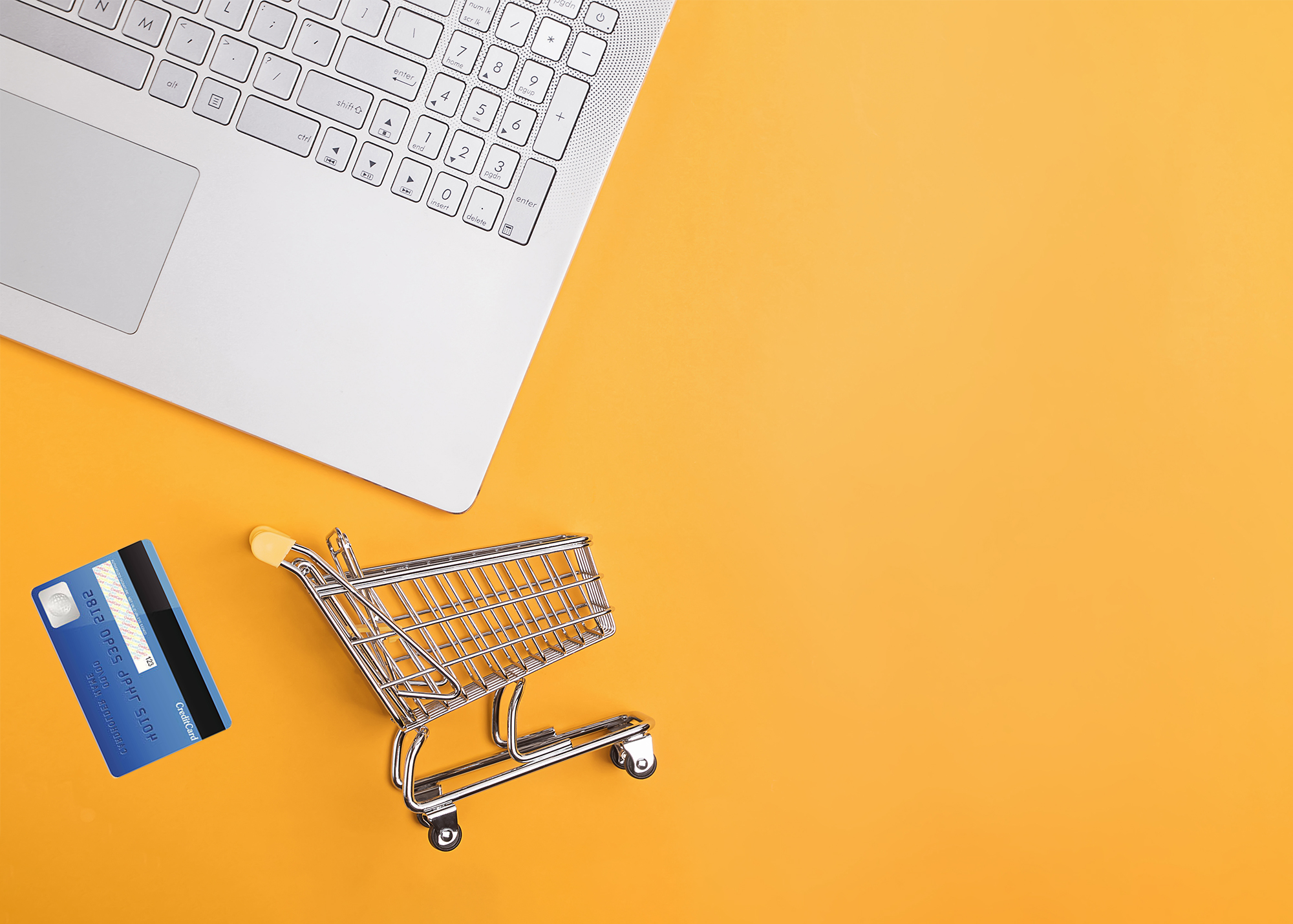 <strong>How to Launch Your eCommerce Business</strong>