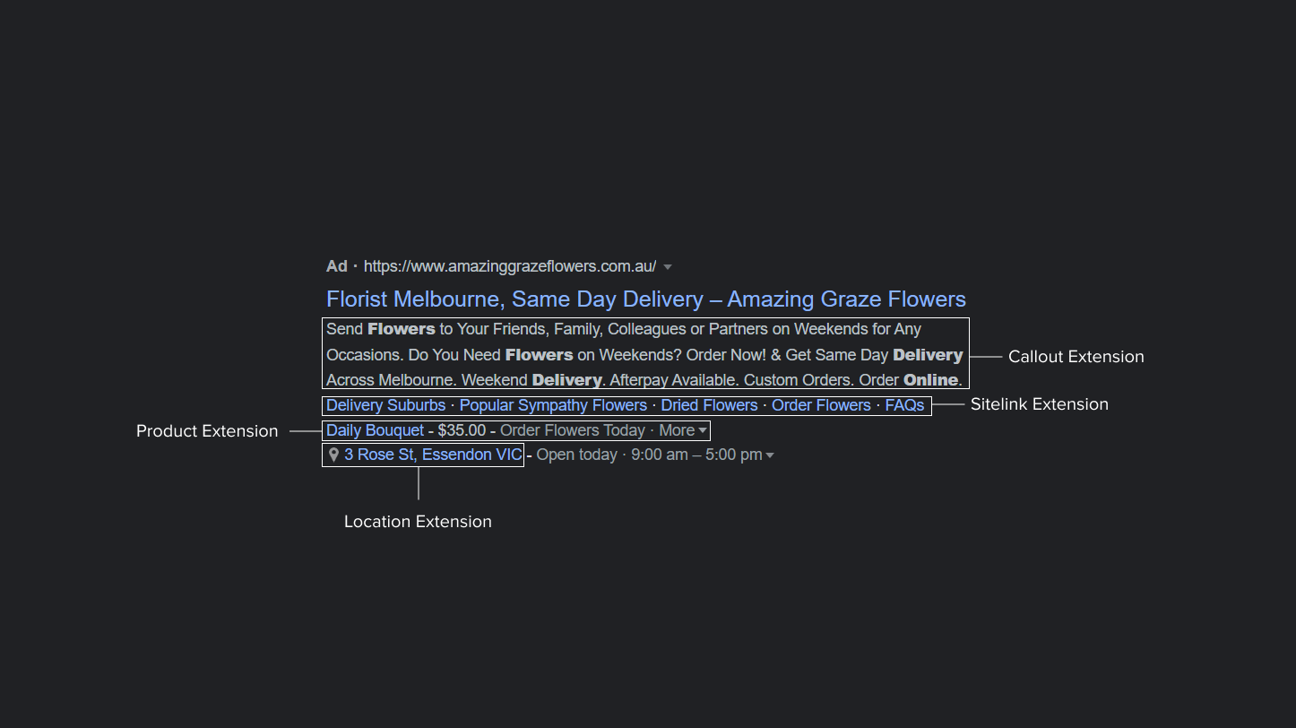 Screenshot diagram example of different types of google ad extensions