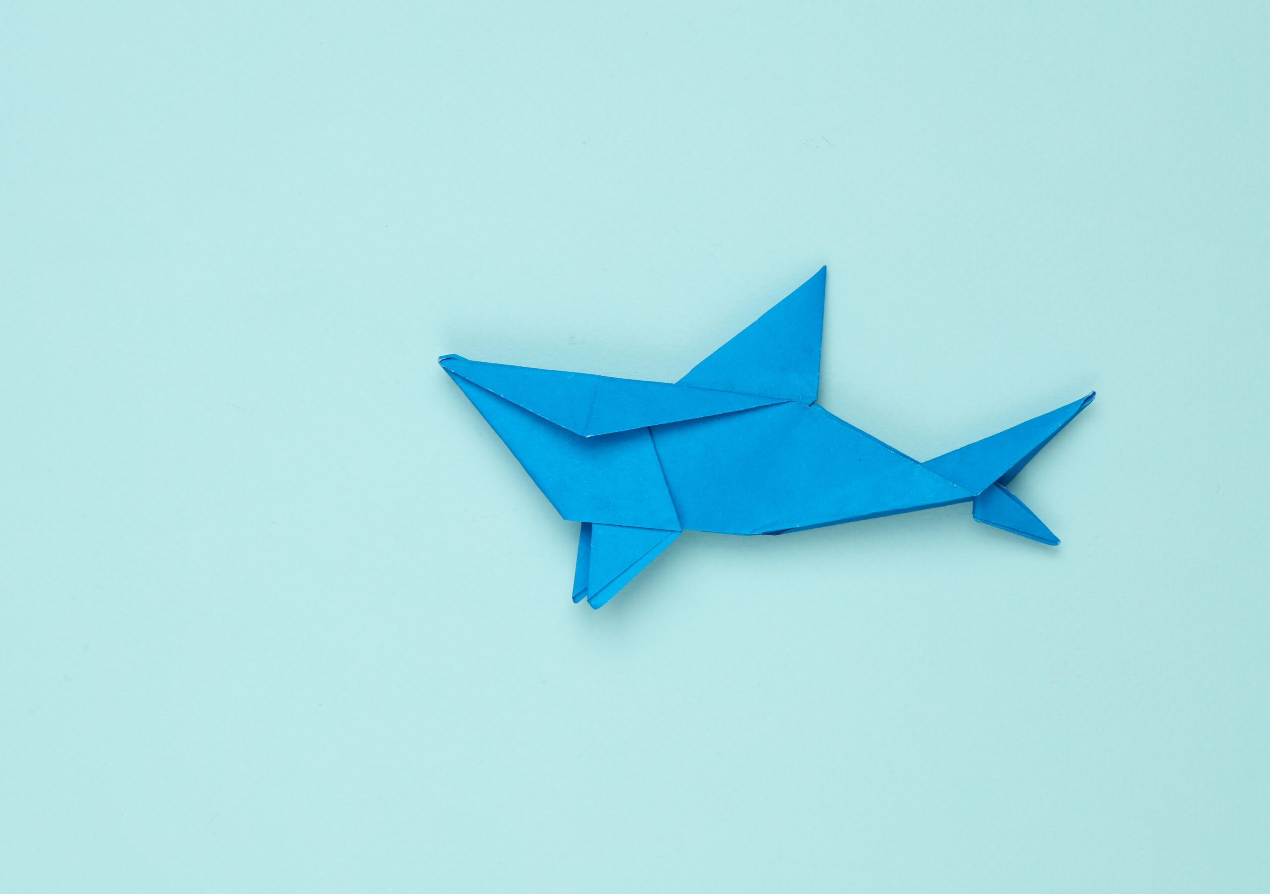 Ride the Shark Tank Australia wave: 5 Killer digital marketing moves to capture massive search spikes